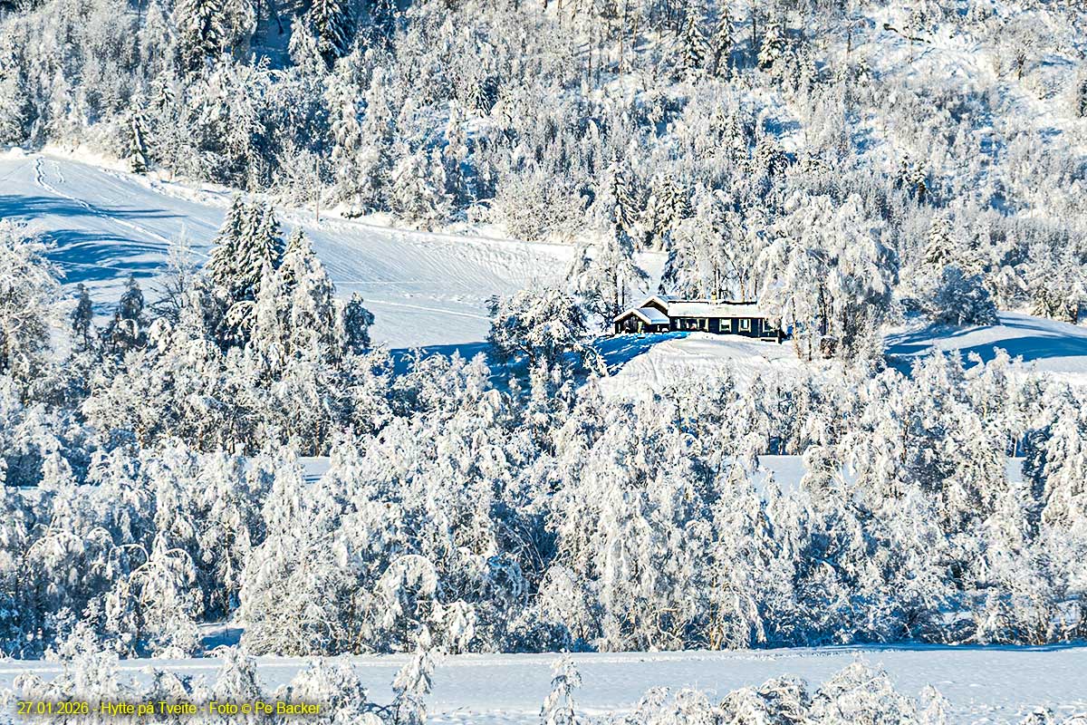 Hytte på Tveite