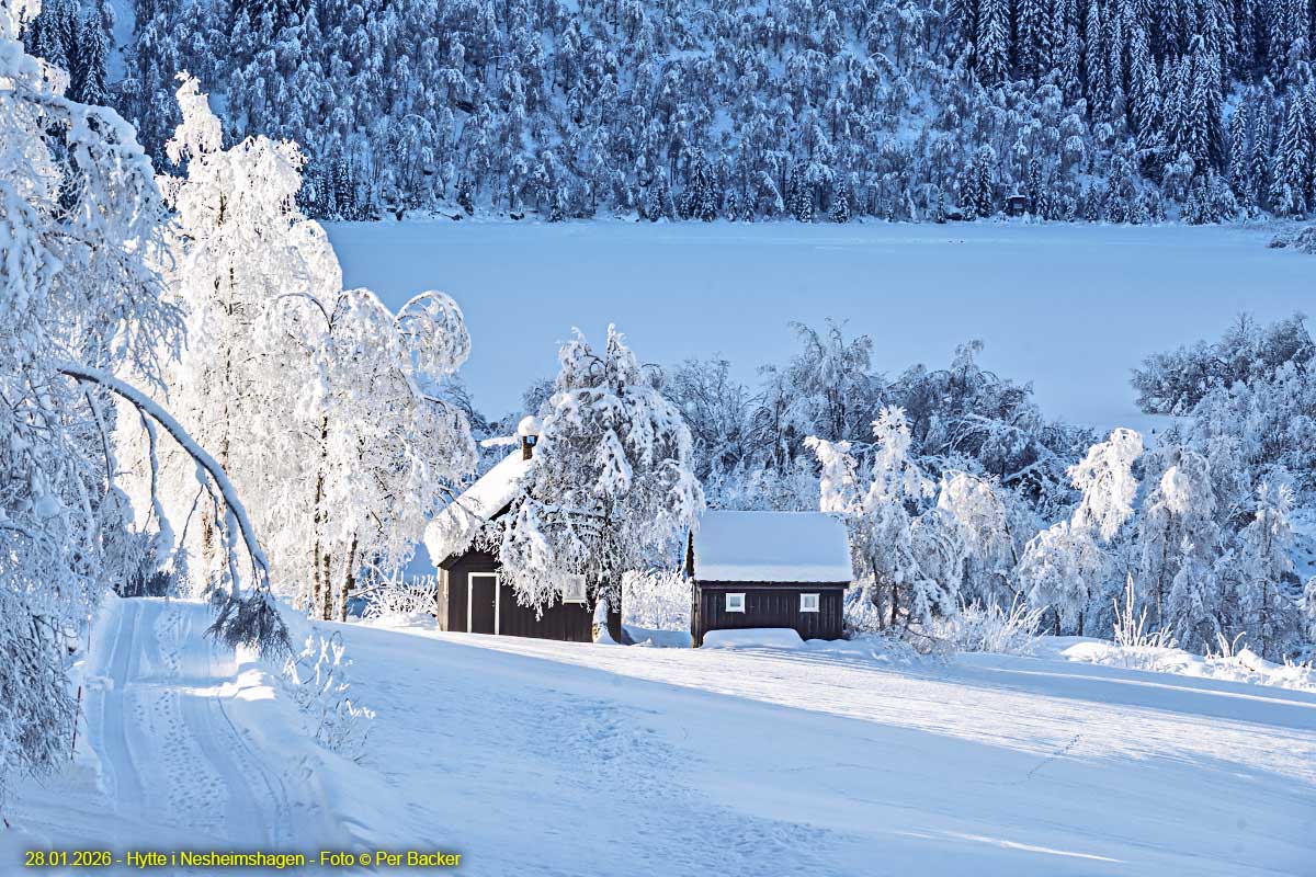 Hytte i Nesheimshagen