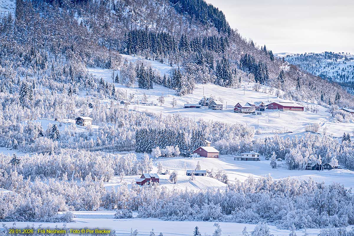 Frå Nesheim