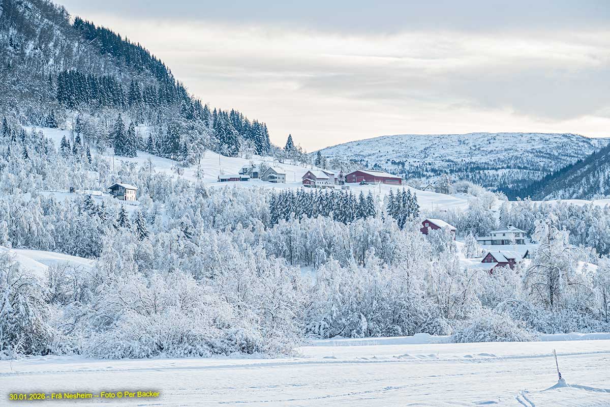 Frå Nesheim