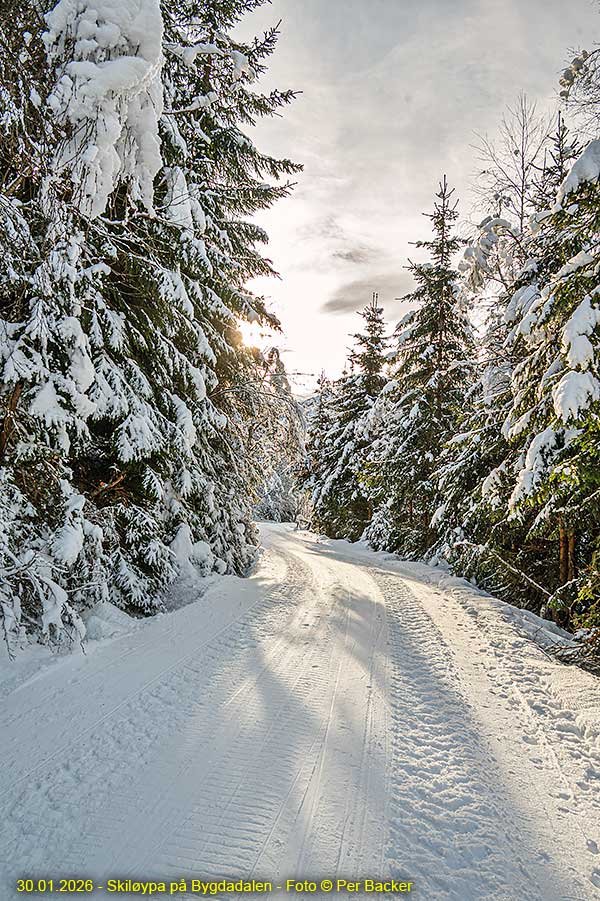 Frå Skiløypa på Bygdadalen