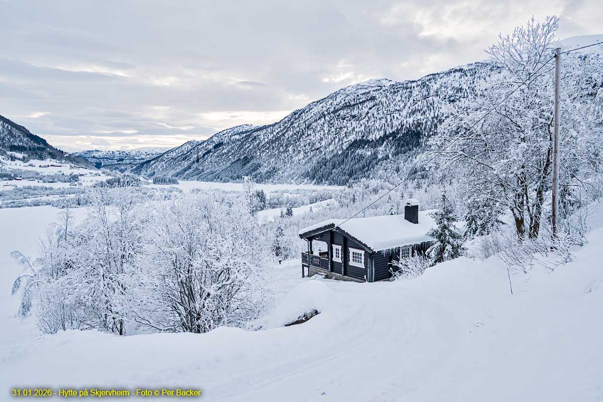 Hytte på Skjervheim