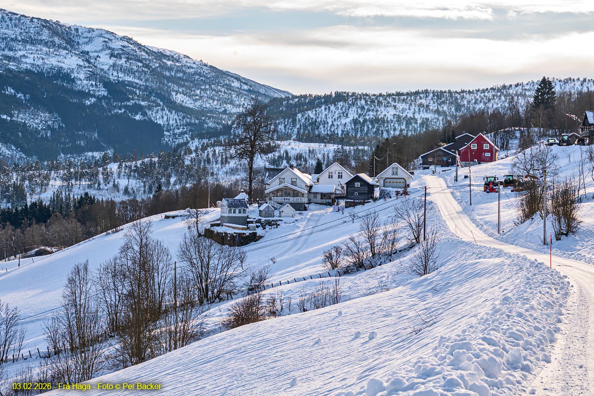 Frå Haga