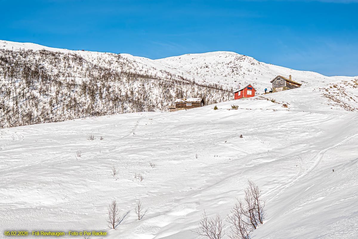 Frå Revhaugen