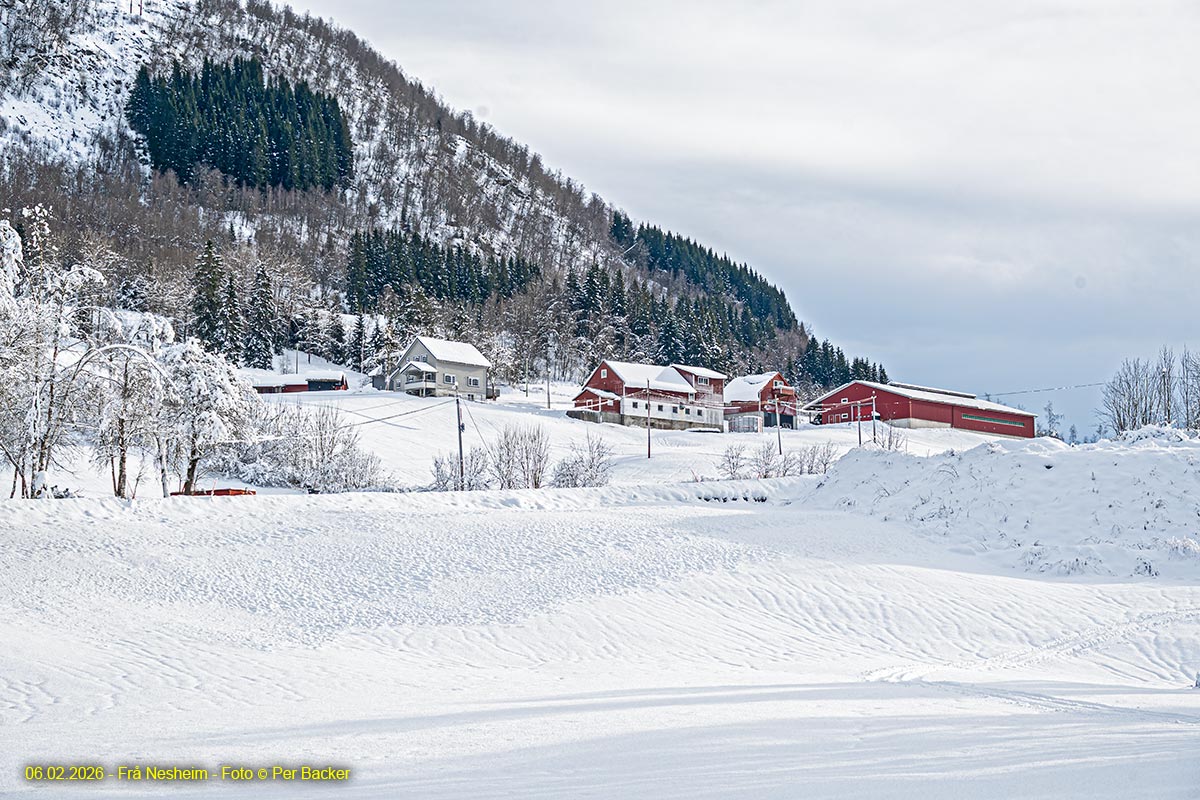 Frå Nesheim
