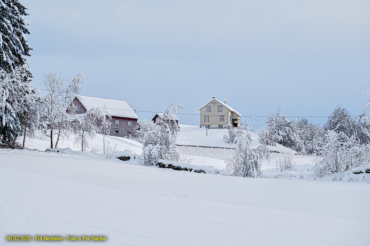 Frå Nesheim