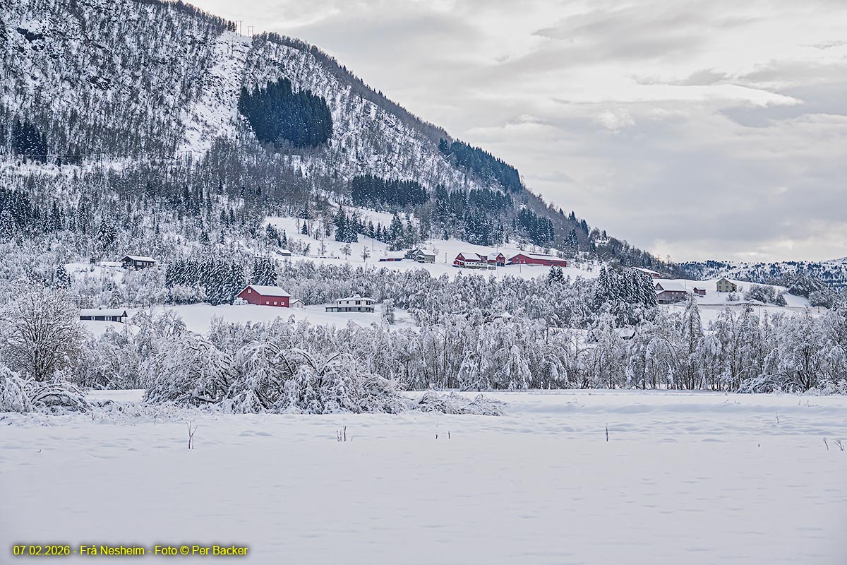 Frå Nesheim