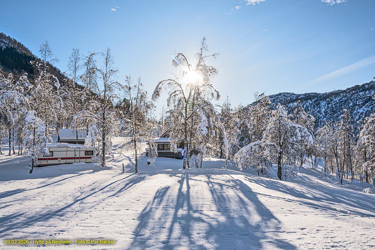 Hytte på Nesheim