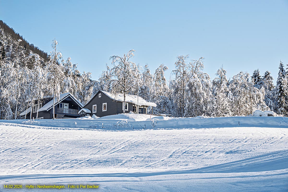 Hytte i Nesheimshagen