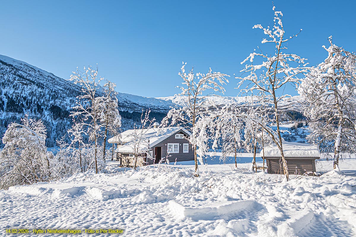 Hytte i Nesheimshagen