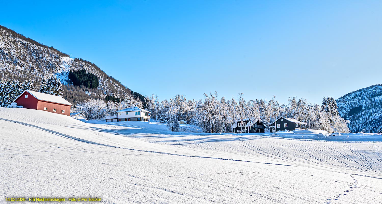 Frå Nesheimshagen