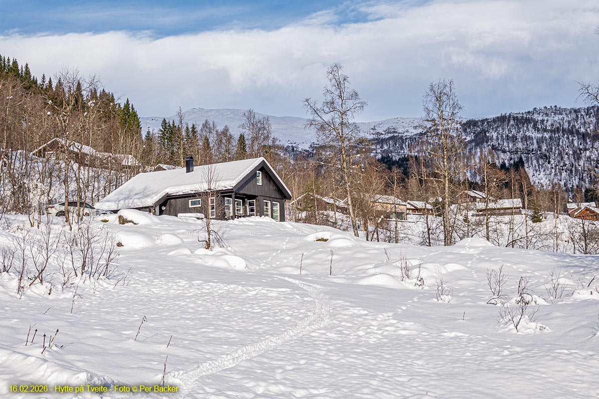 Hytte på Tveite