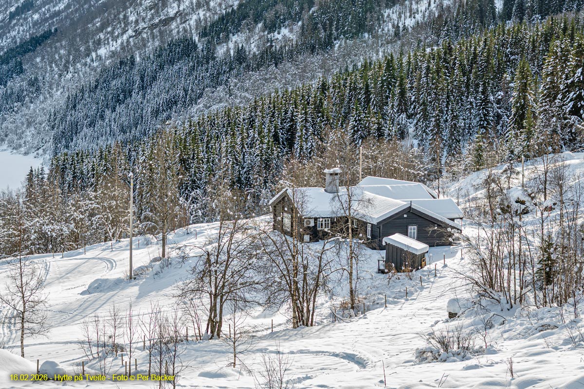 Hytte på Tveite