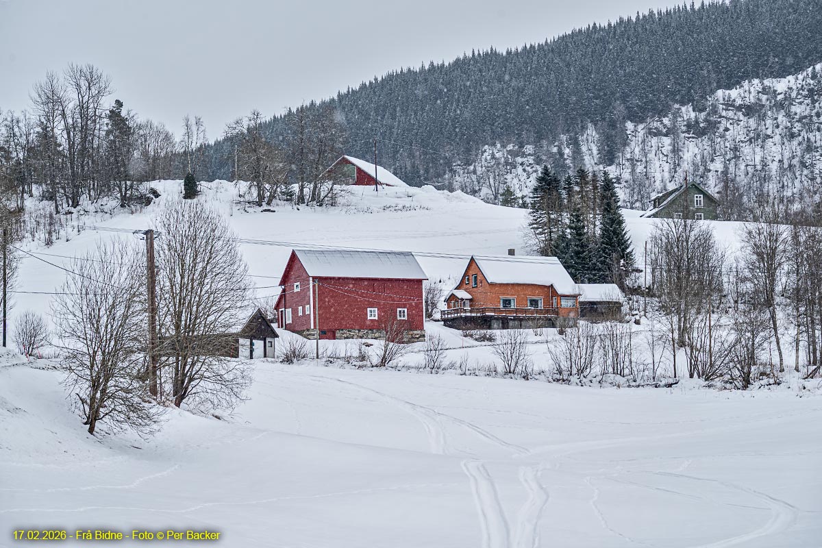 Frå Bidne