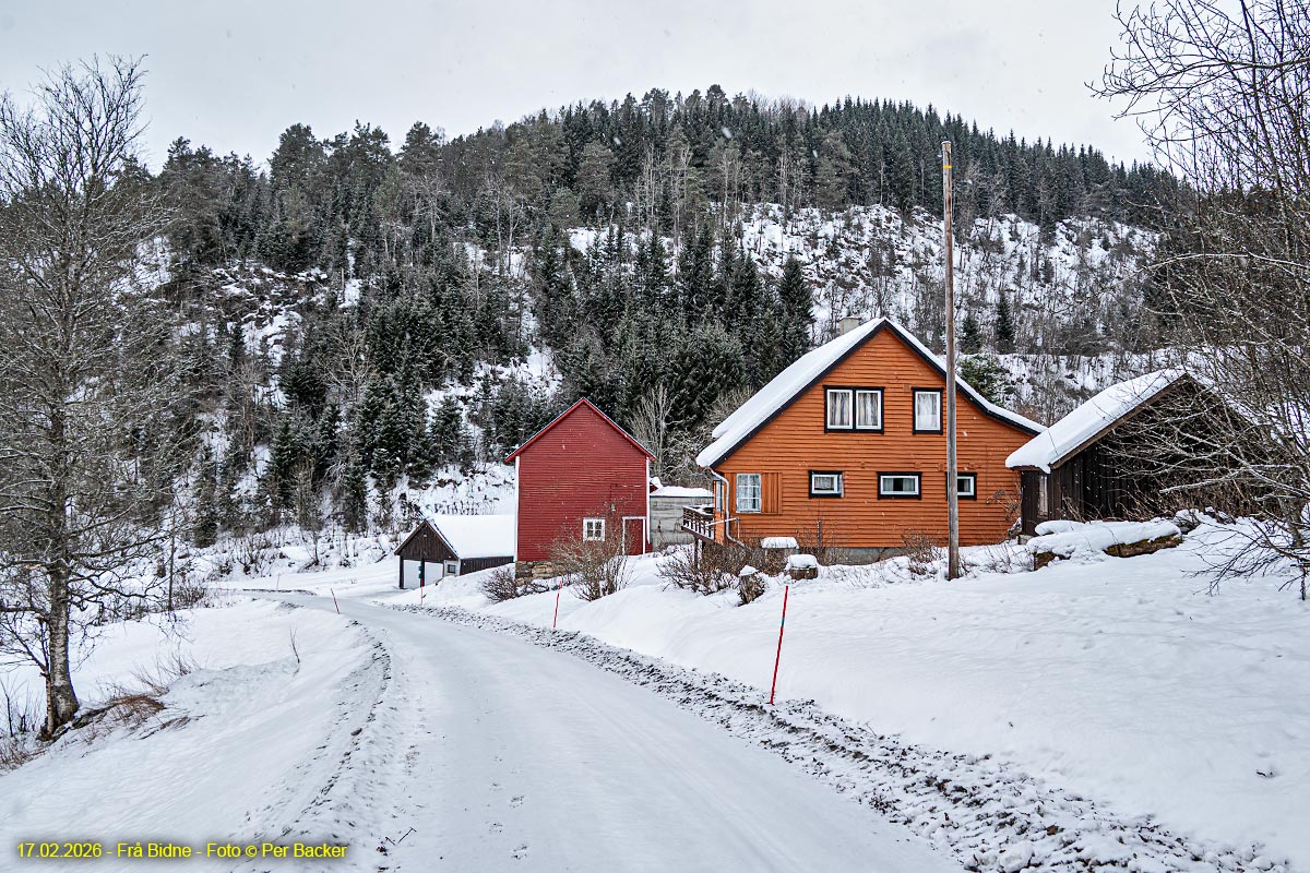 Frå Bidne