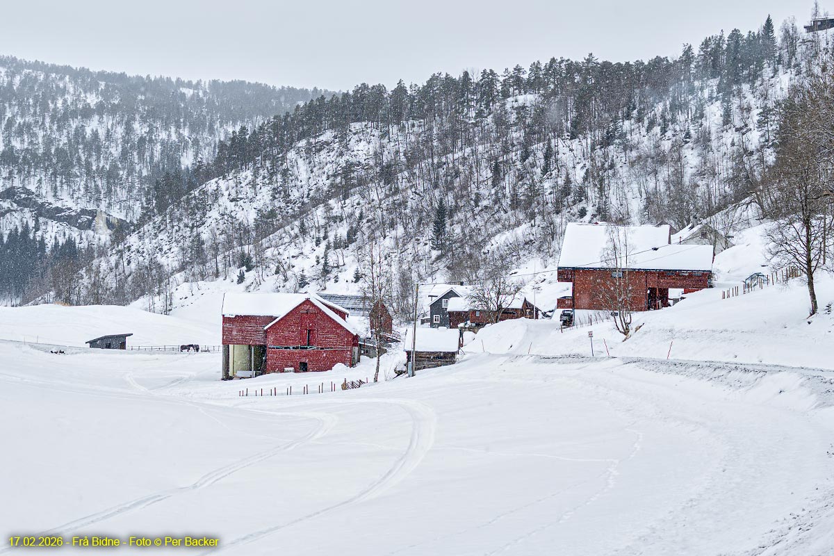 Frå Bidne