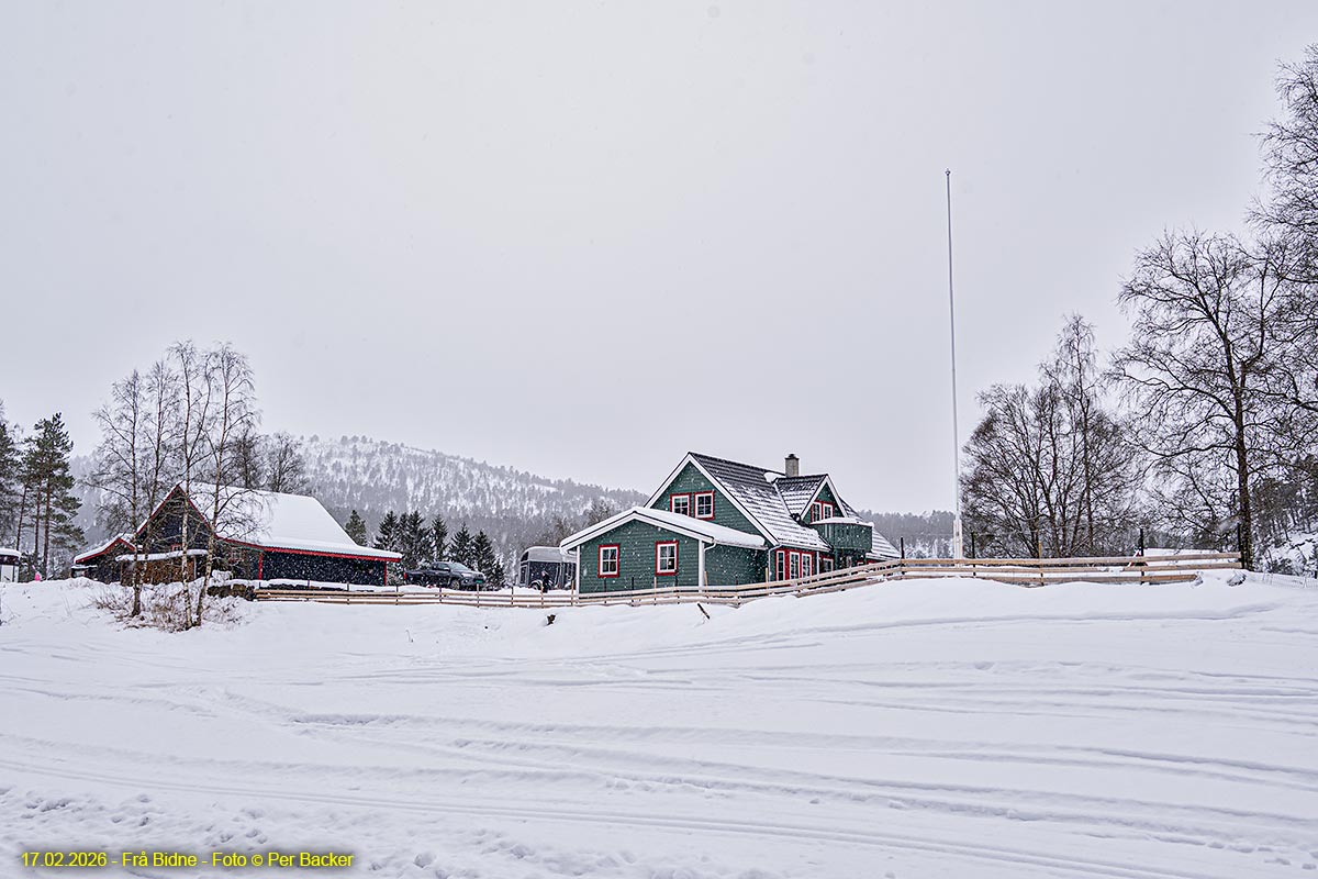 Frå Bidne