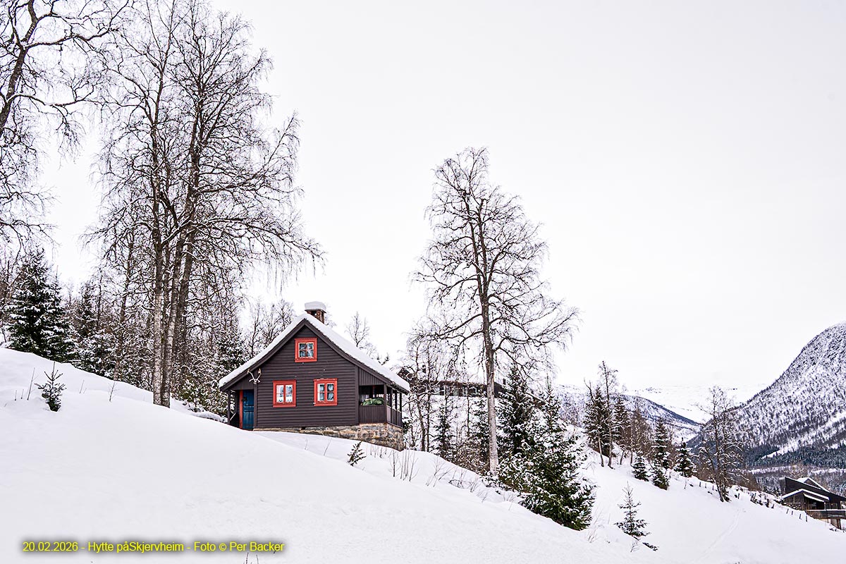 Hytte på Skjervheim