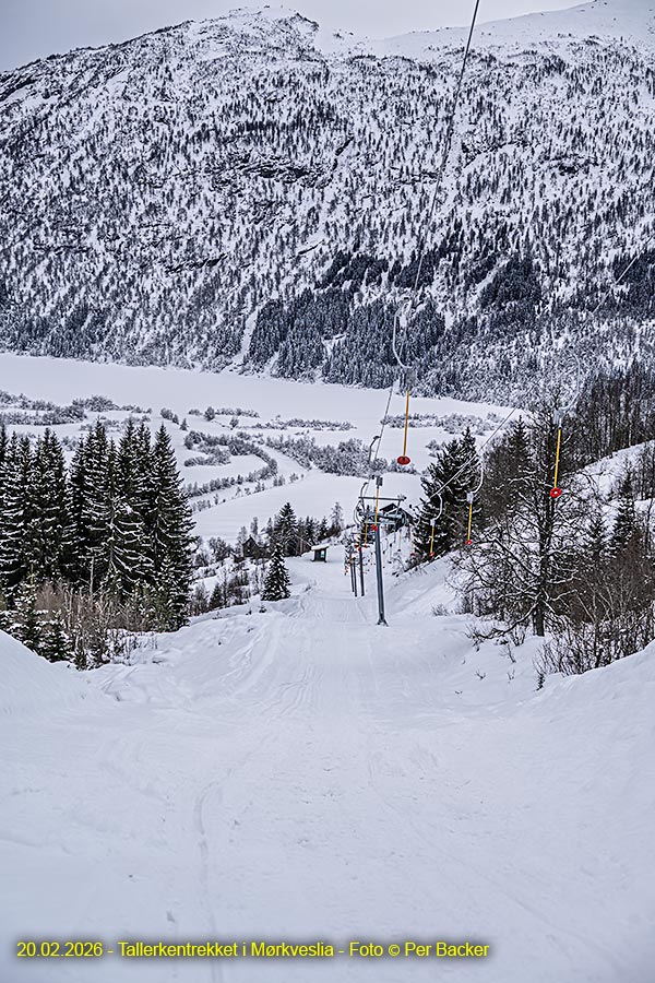 Tallerkentrekket i Mørkveslia