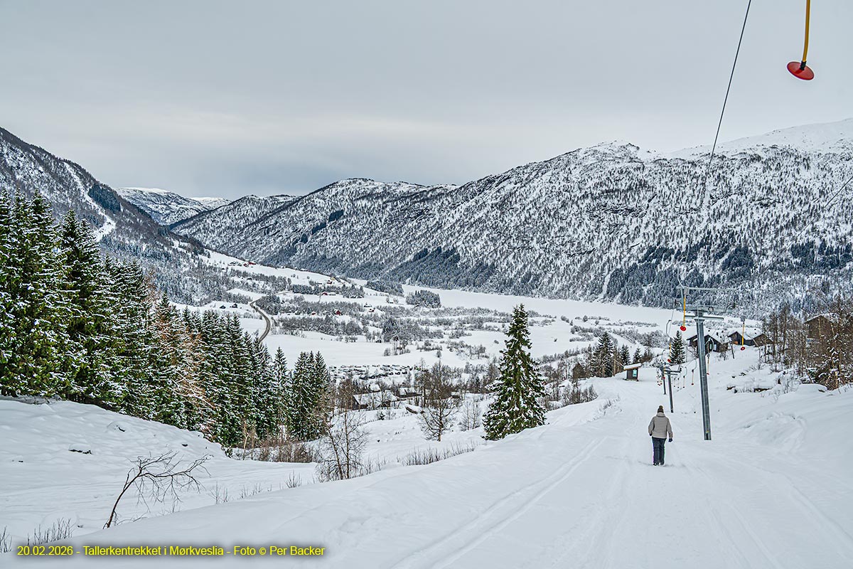 Tallerkentrekket i Mørkveslia