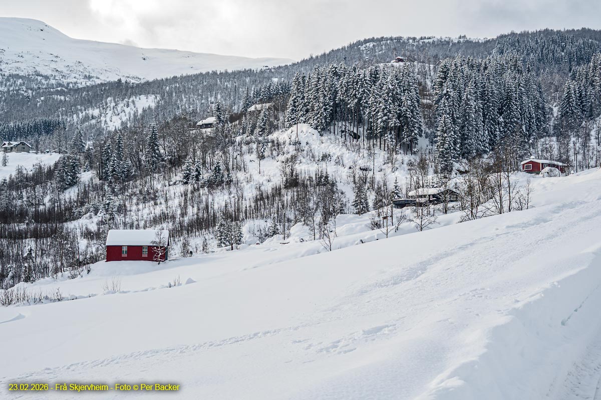 Frå Skjervheim