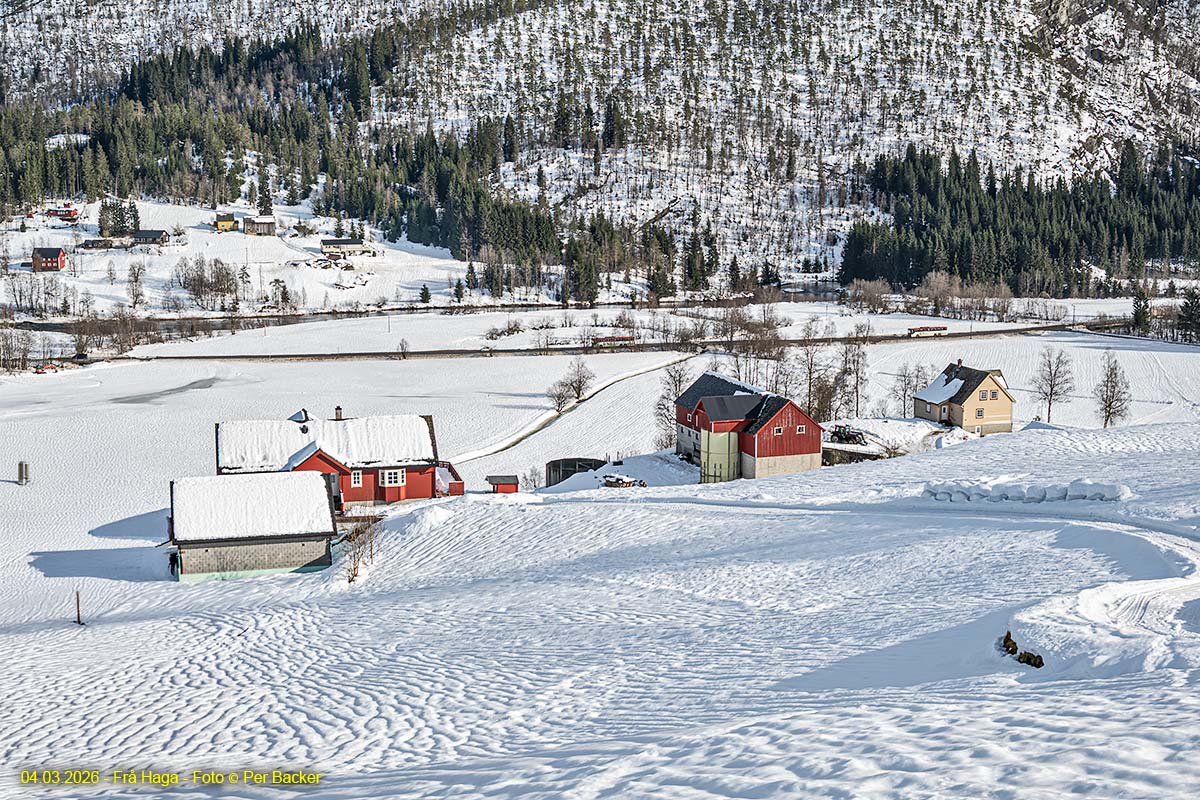 Frå Haga