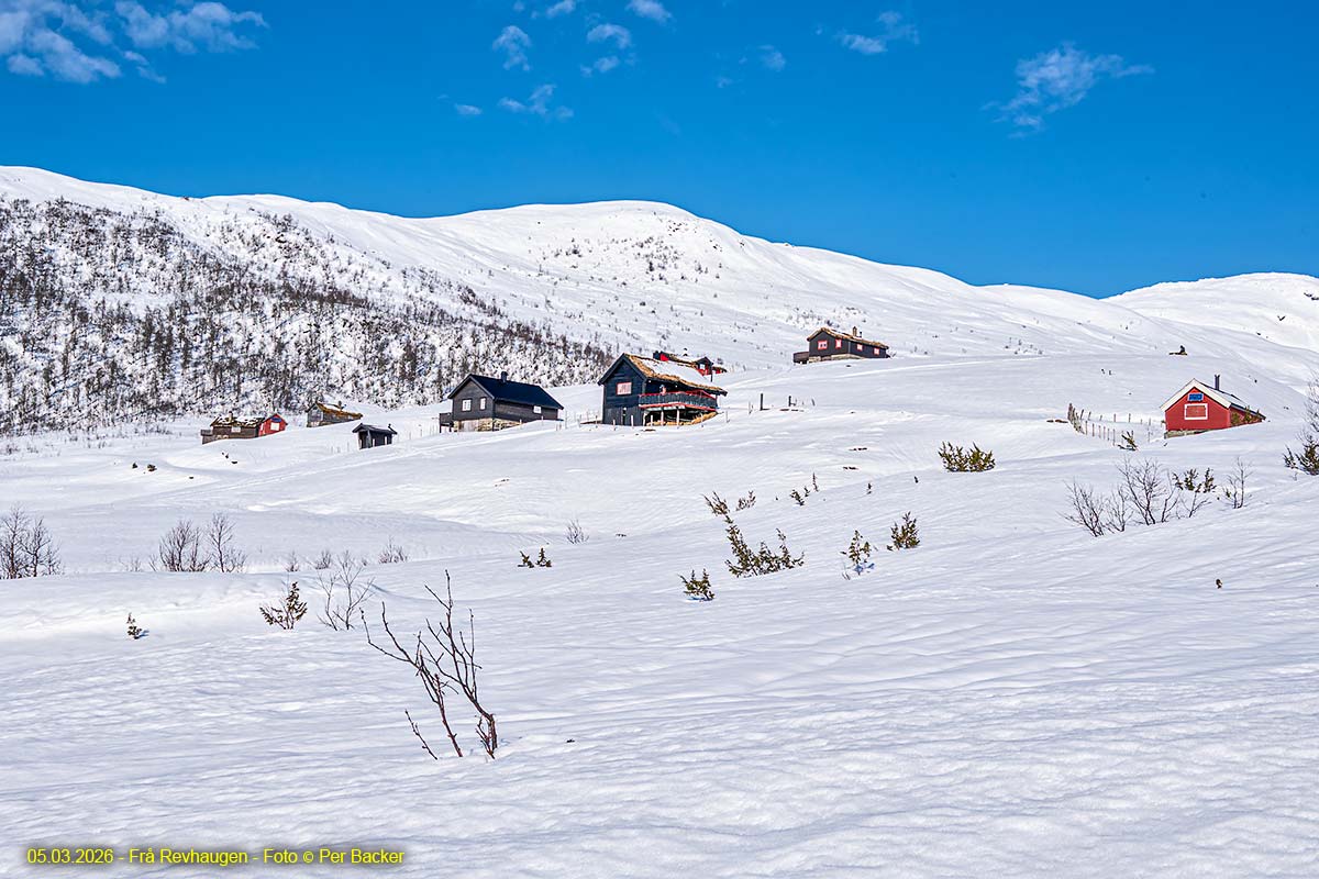 Frå Revhaugen