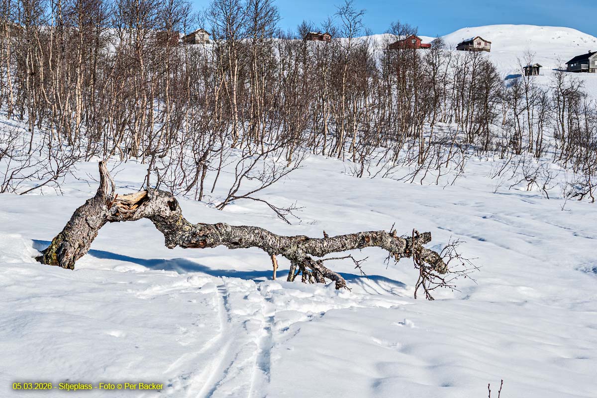 Sitjeplass for fleire