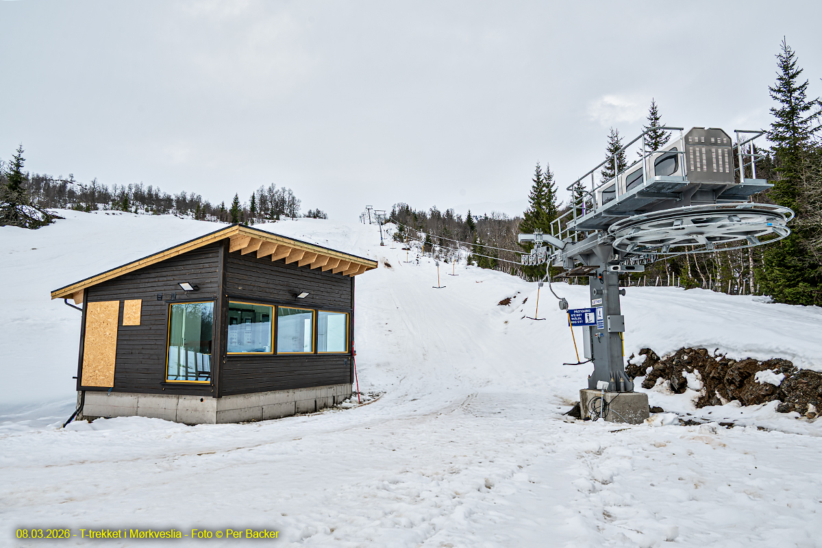 T-trekket i Mørkveslia