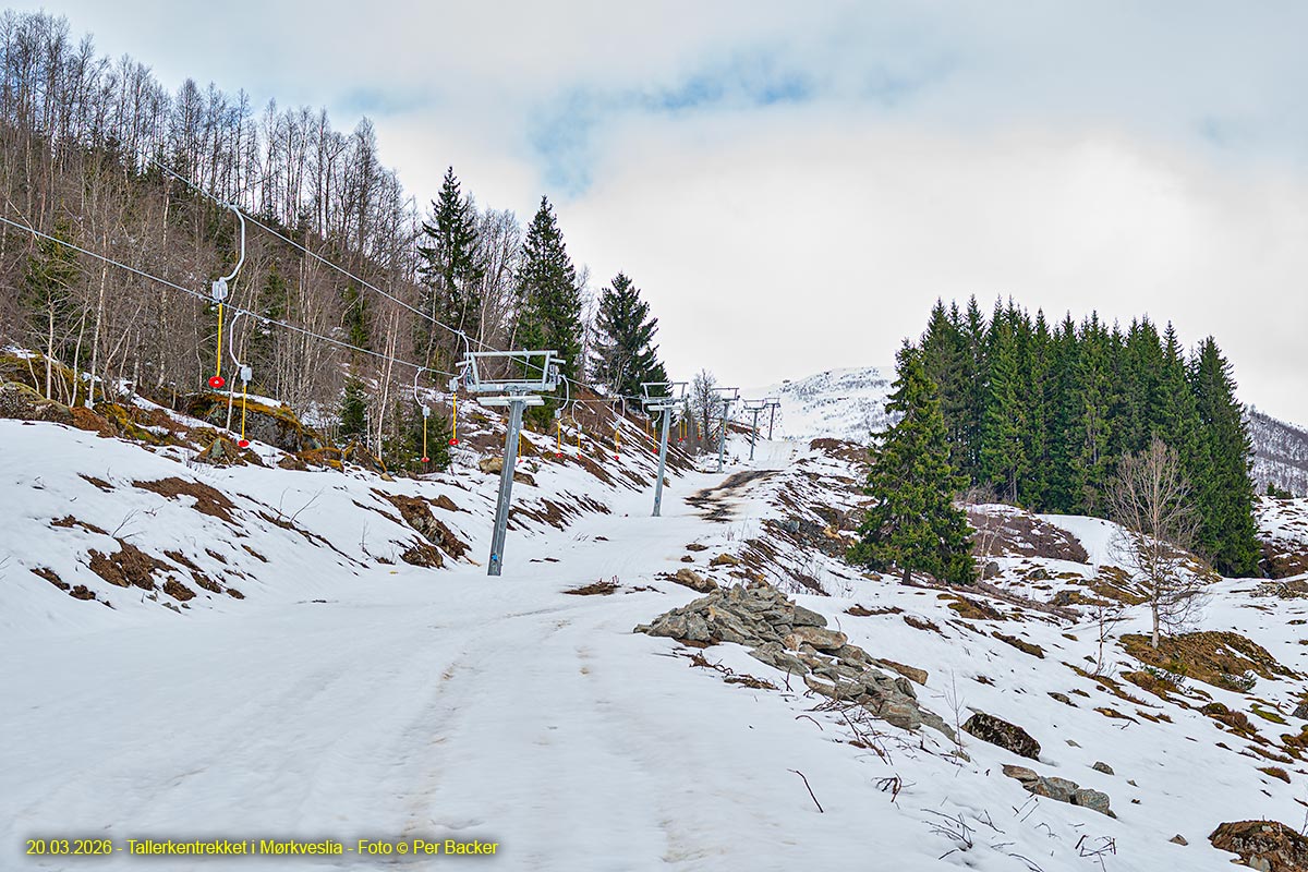 Tallerkentrekket i Mørkveslia