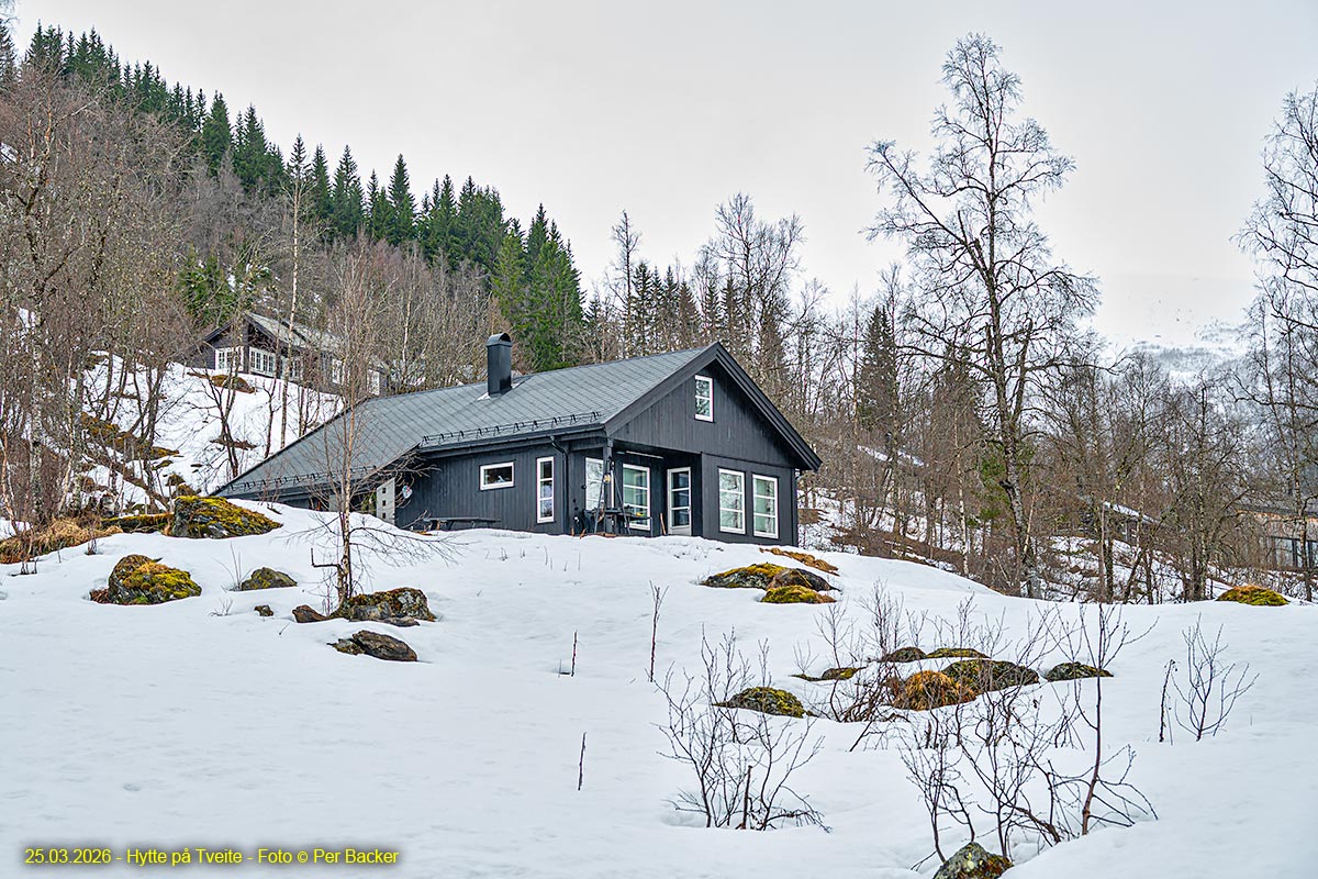 Hytte på Tveite