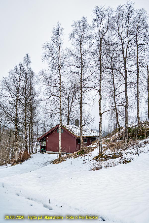 Hytte på Skjervheim