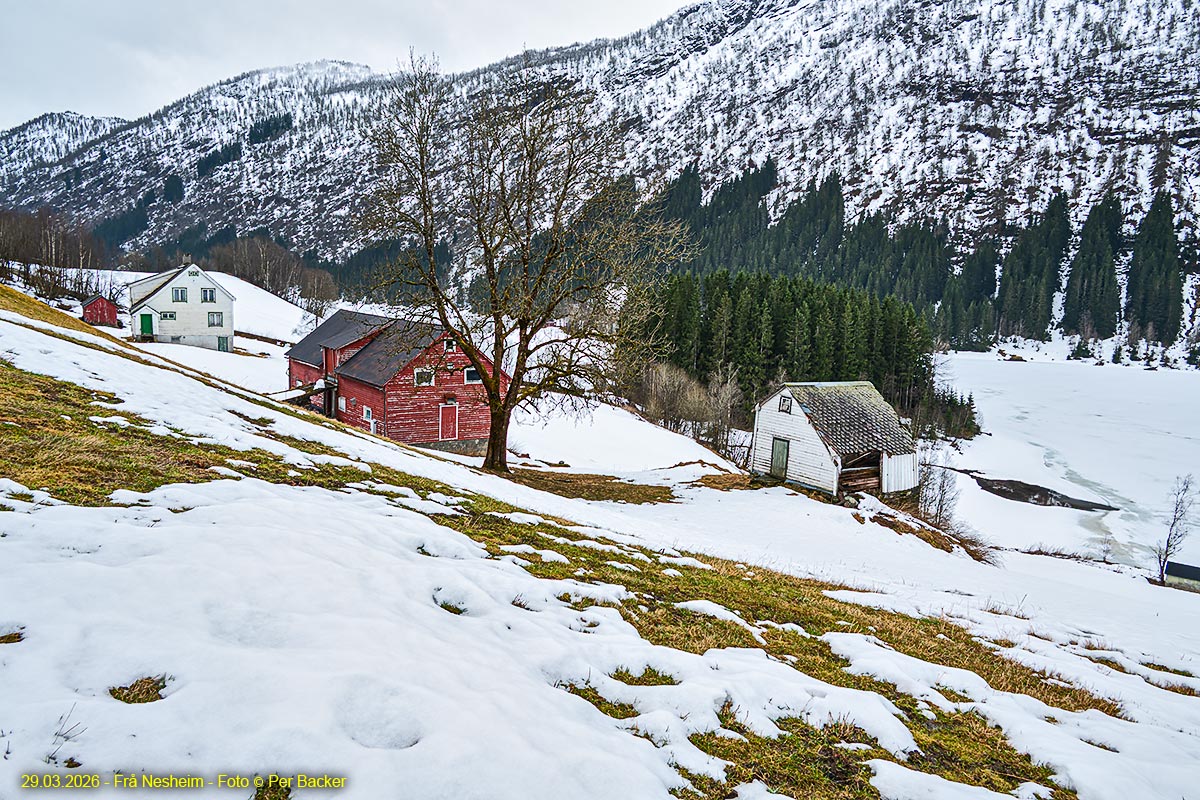 Frå Nesheim