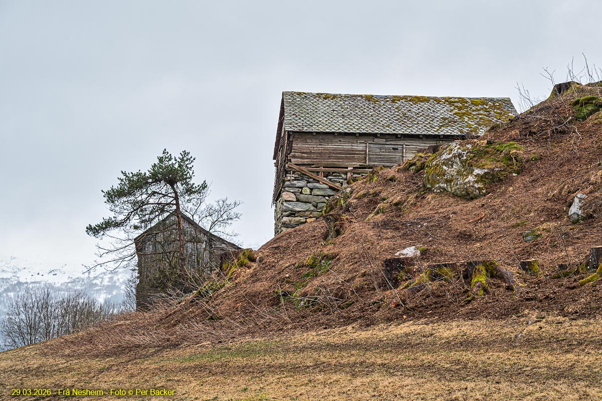 Frå Nesheim