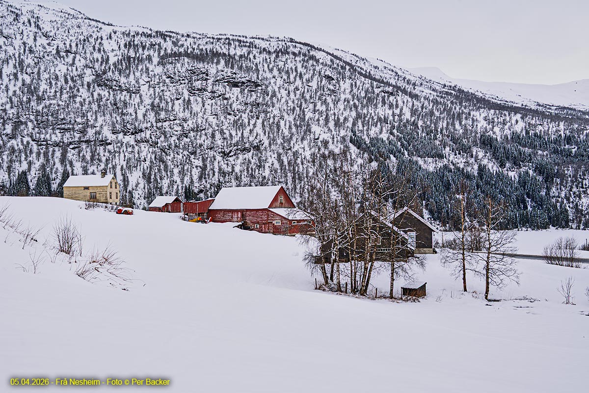 Frå Nesheim