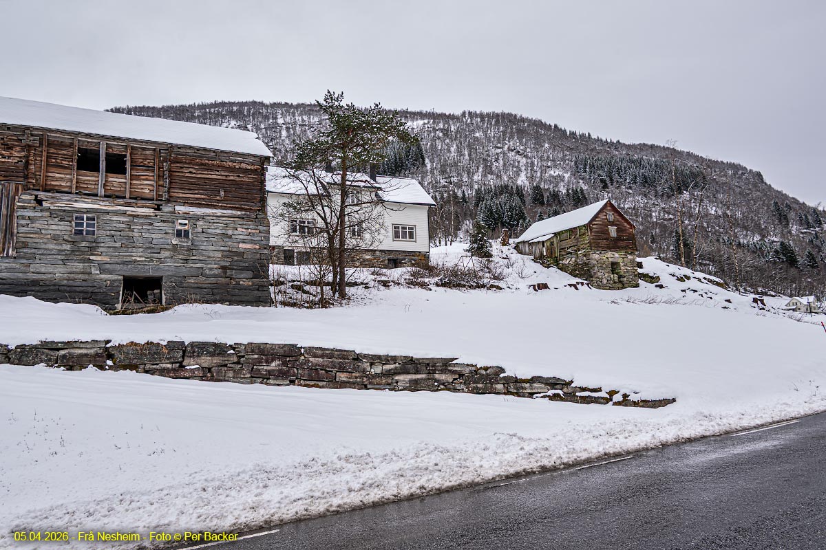 Frå Nesheim
