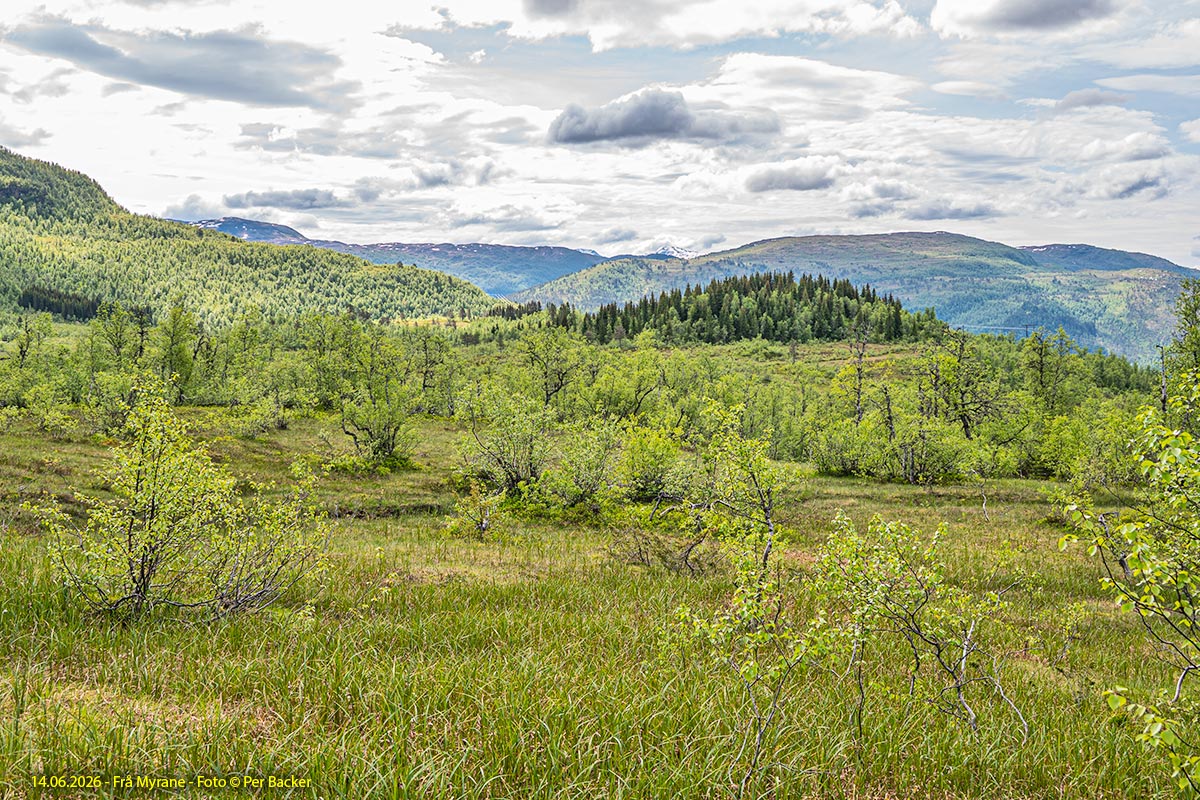 Frå Myrane
