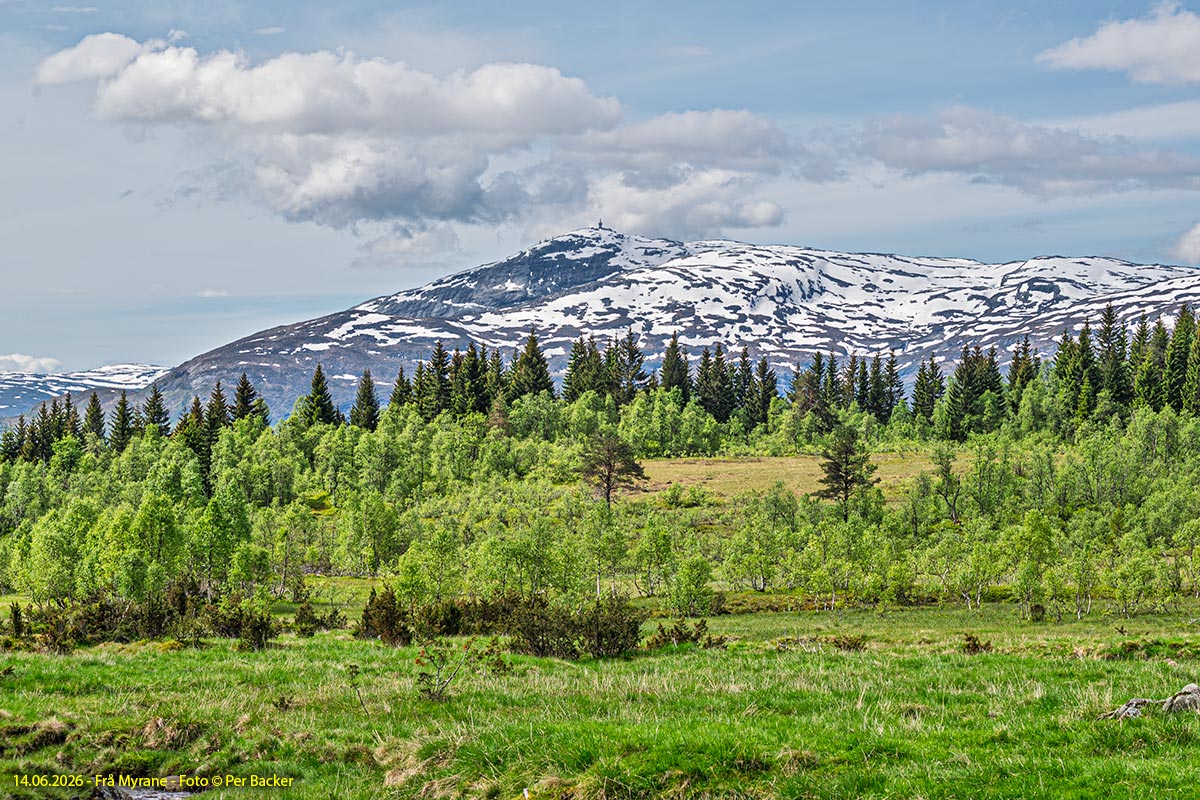 Frå Myrane