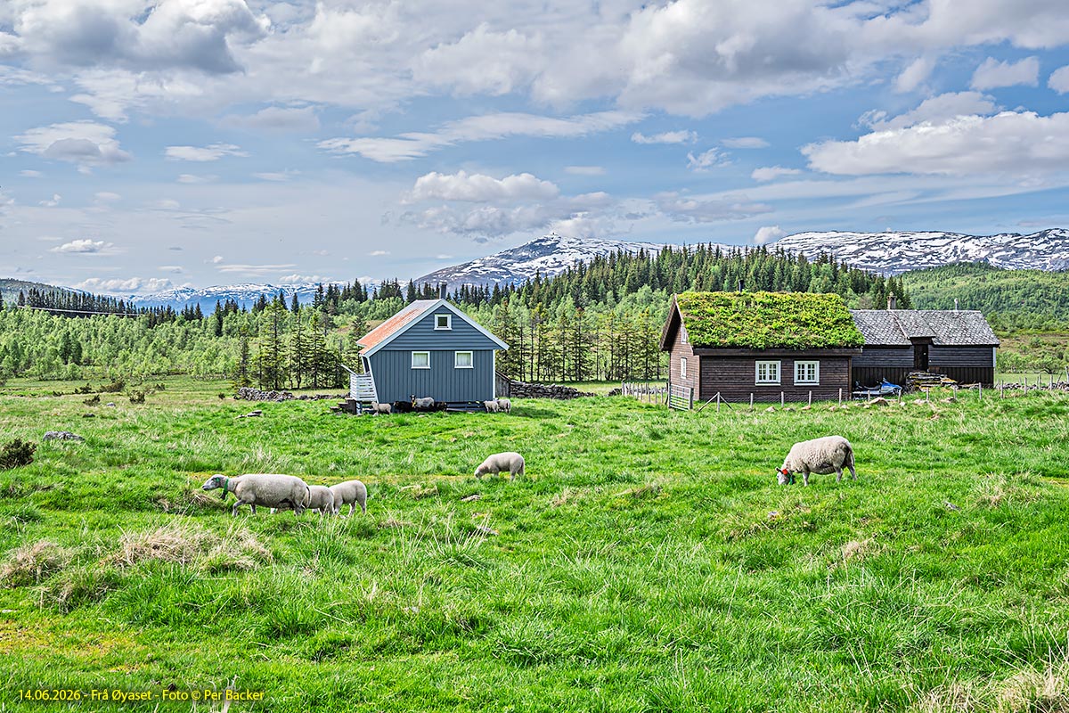 Frå Øyaset