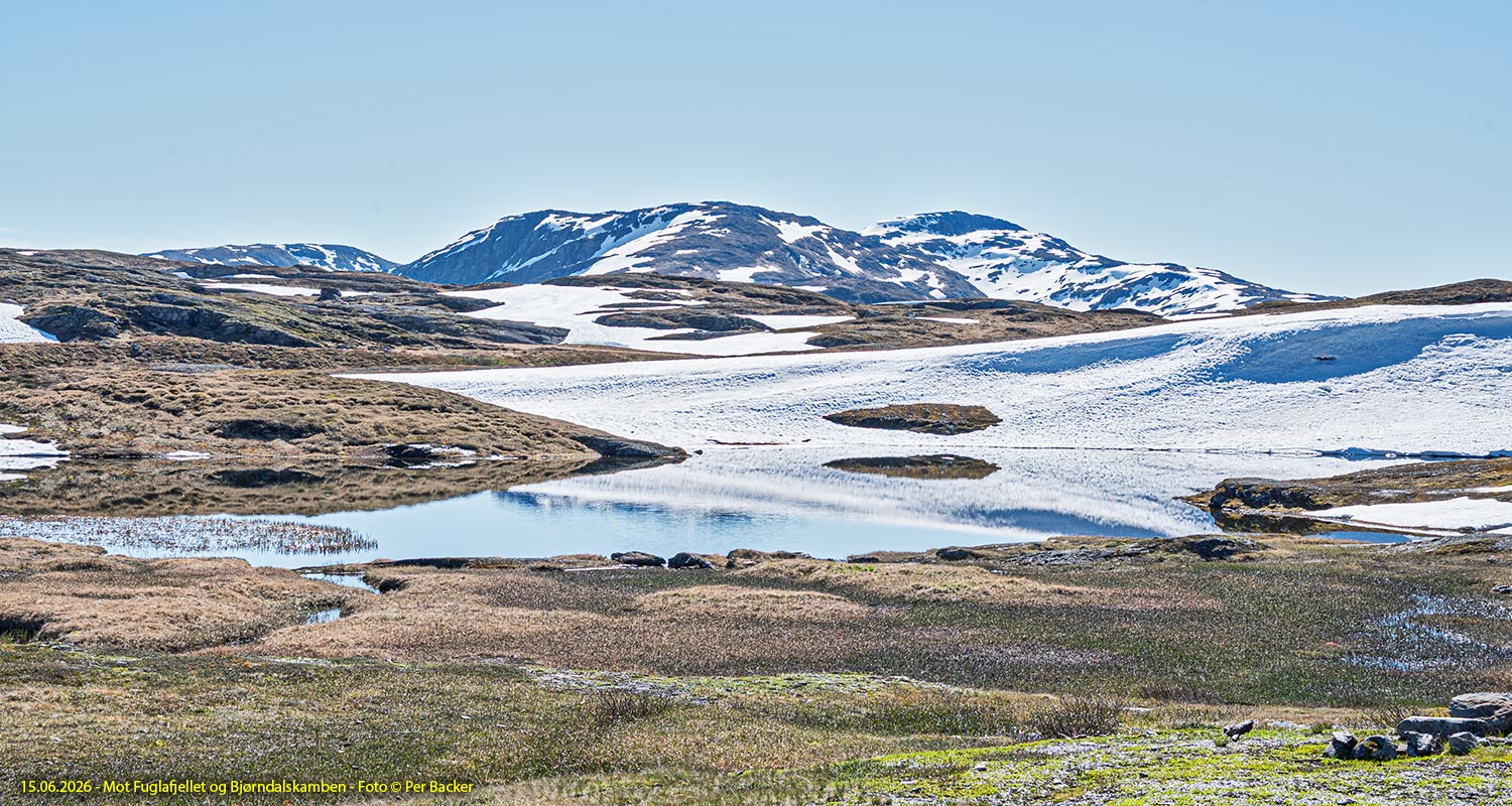 Mot Fuglafjellet og Bjørndalsnuten
