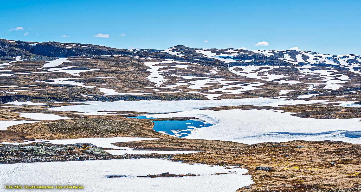 Is på Hestavatnet