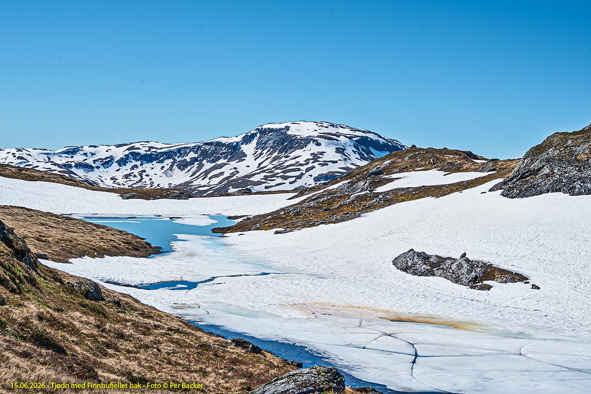 Tjødn med Finnbufjellet bak
