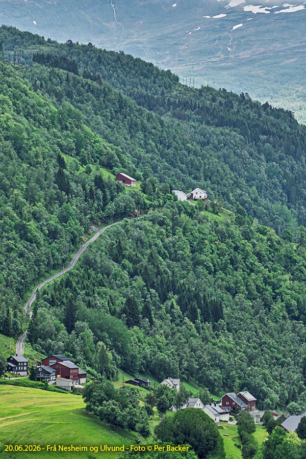 Mot Nesheim og Ulvund