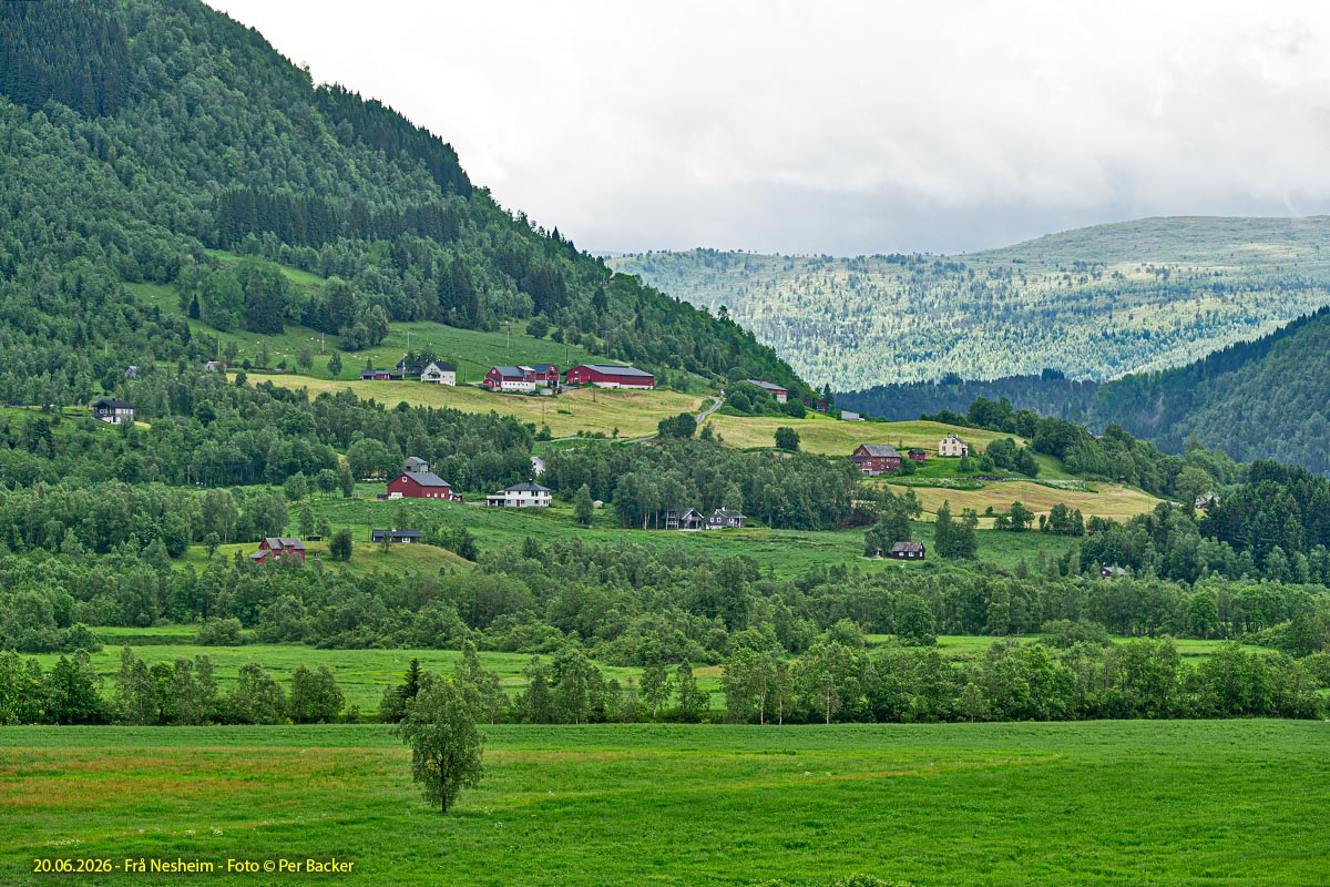 Frå Nesheim