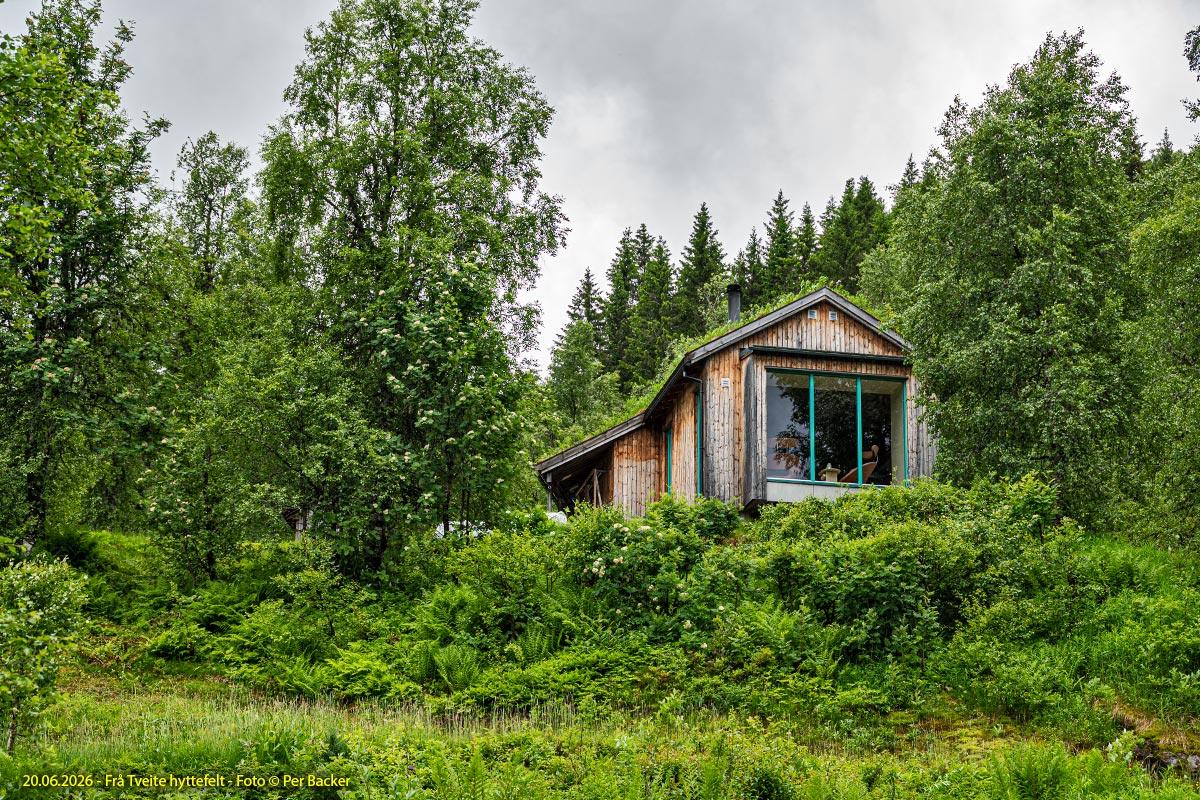 Frå Tveite hyttefelt