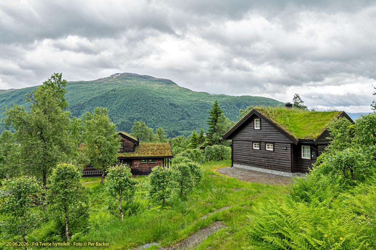 Frå Tveite hyttefelt