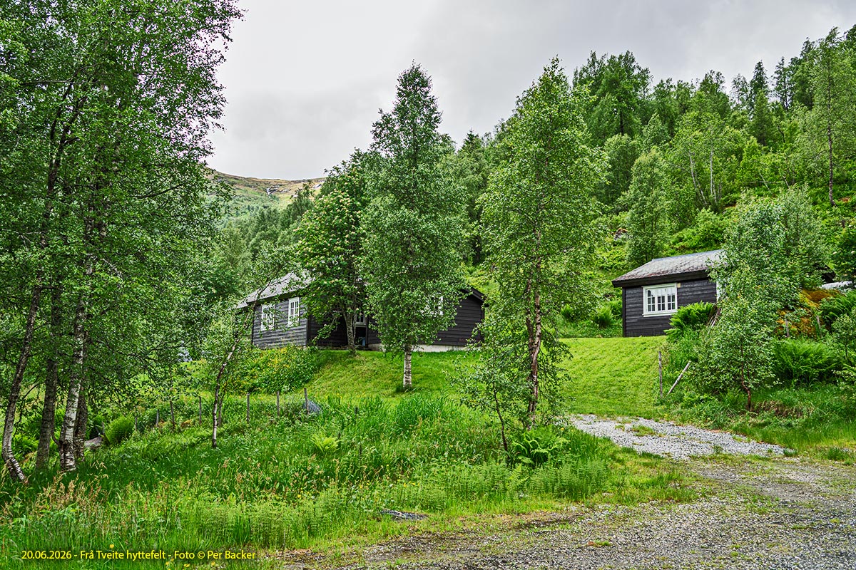 Frå Tveite hyttefelt