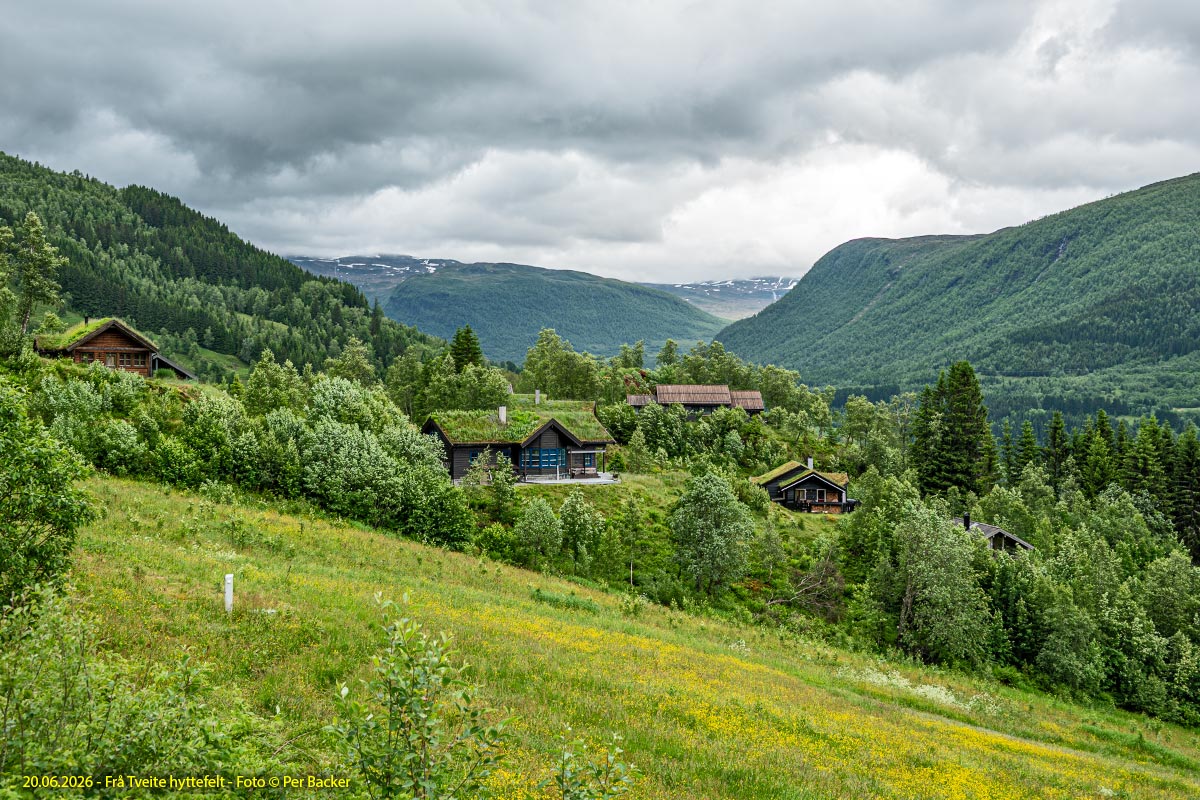 Frå Tveite hyttefelt