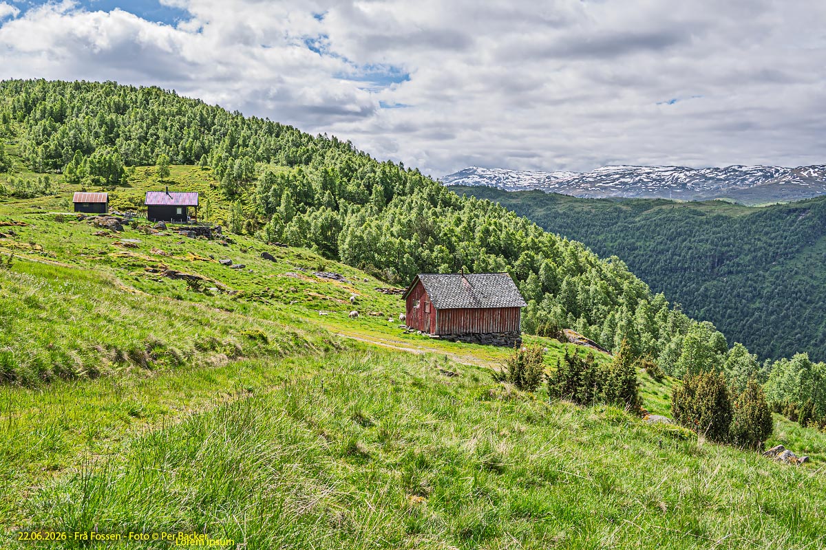Frå Fossen
