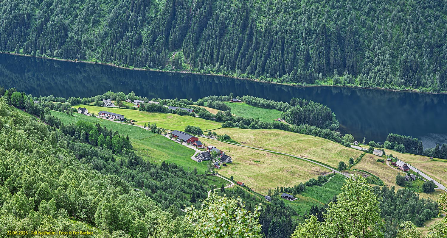 Frå Nesheim
